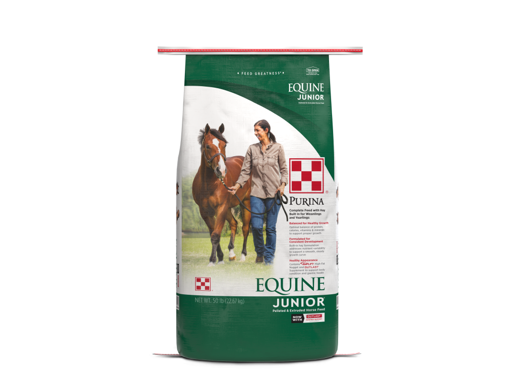 Equine Junior