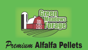 Premium Alfalfa Pellets