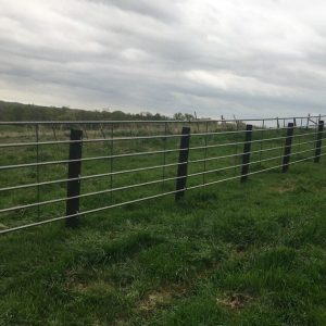 Continuous Fence Panel, 6 Bar
