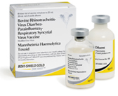 Zoetis Bovi-Shield® Gold One Shot™, 10 Dose